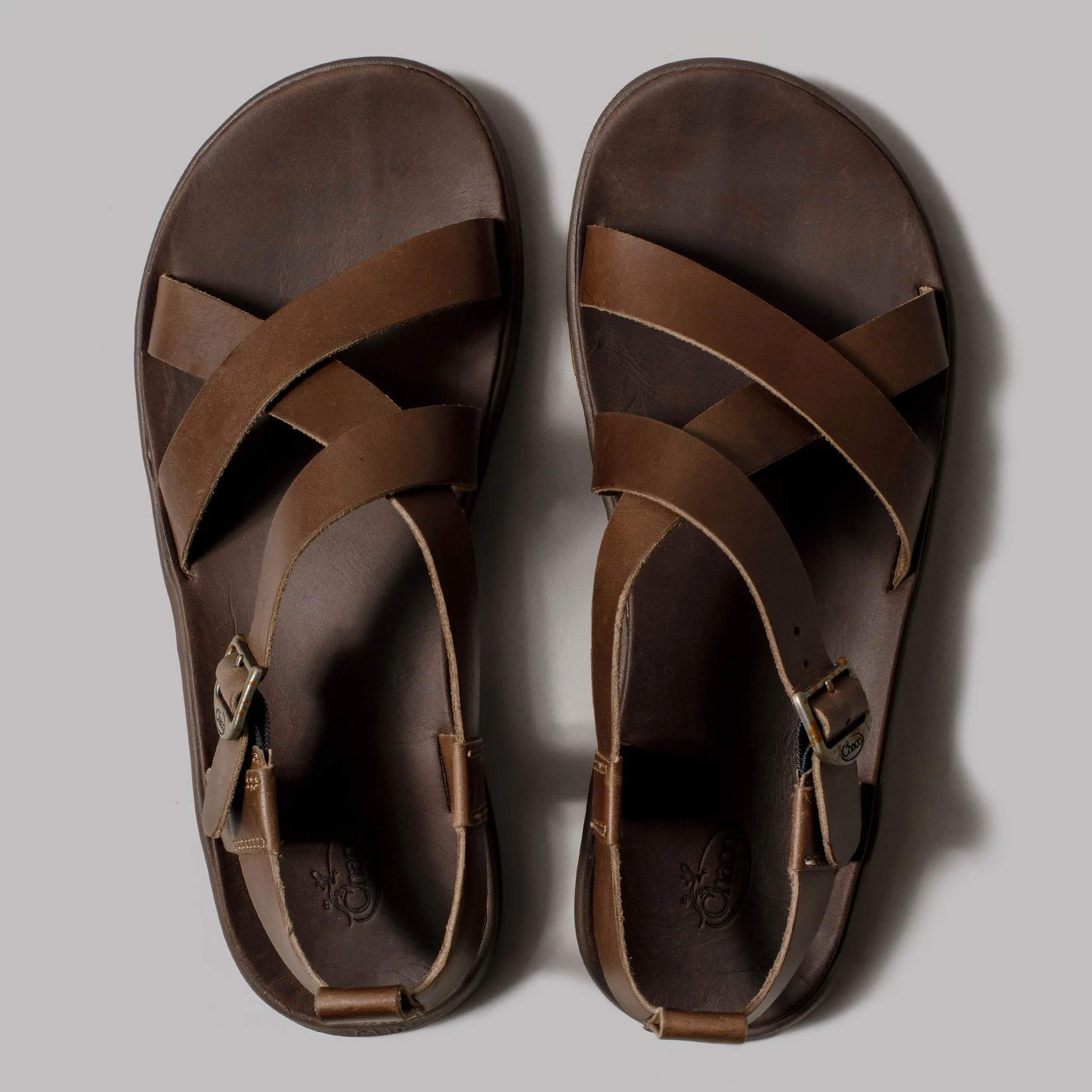 Chaco Wayfarer (Otter)