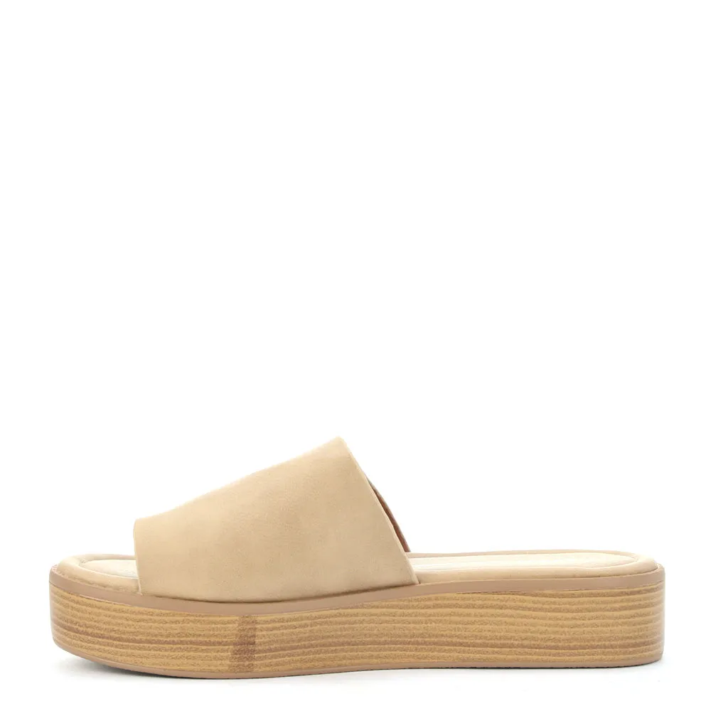 Mon Slides