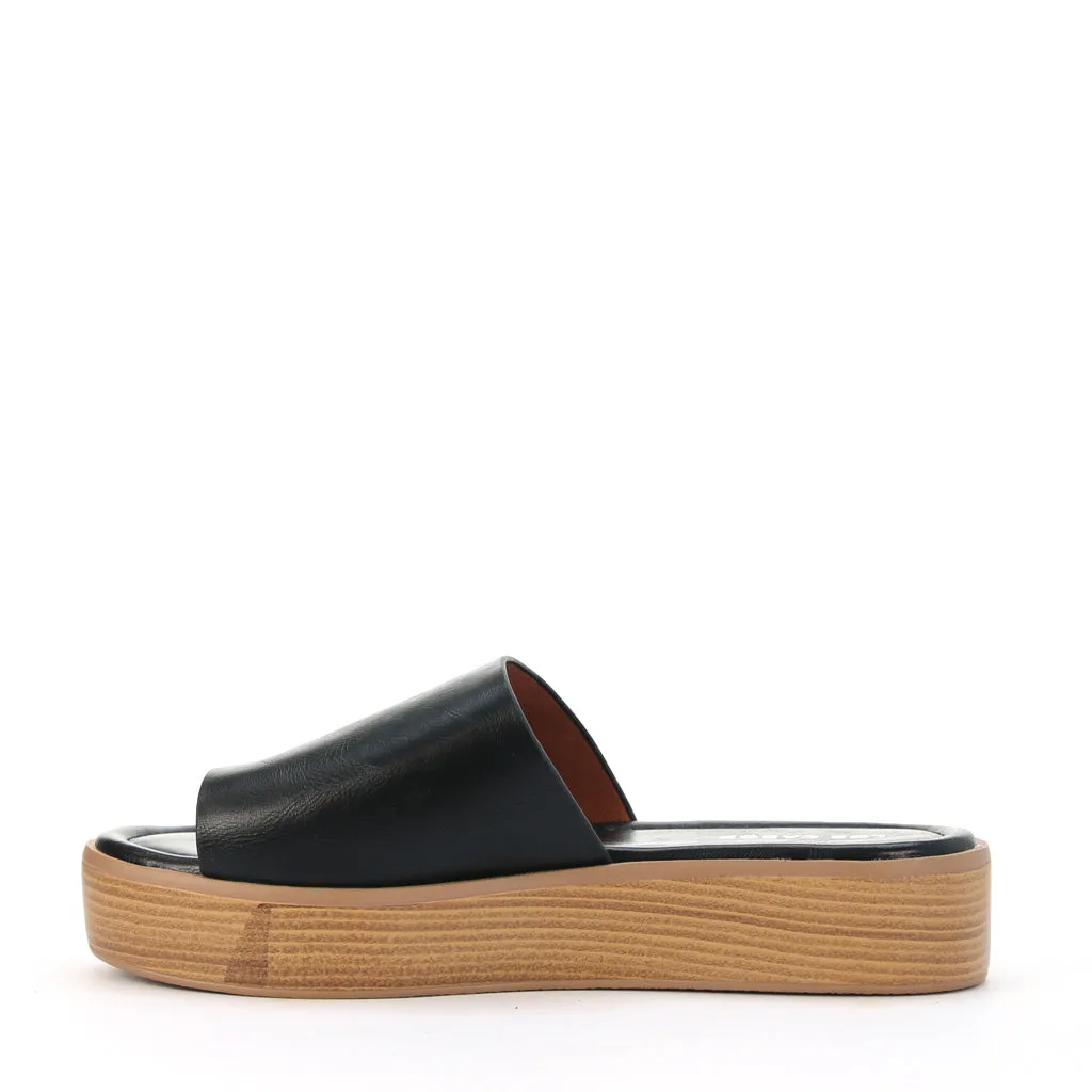 Mon Slides