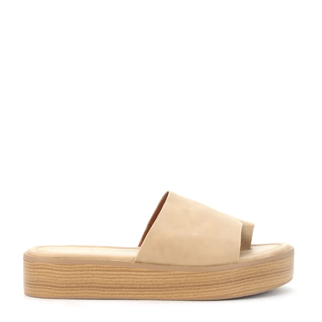 Mon Slides