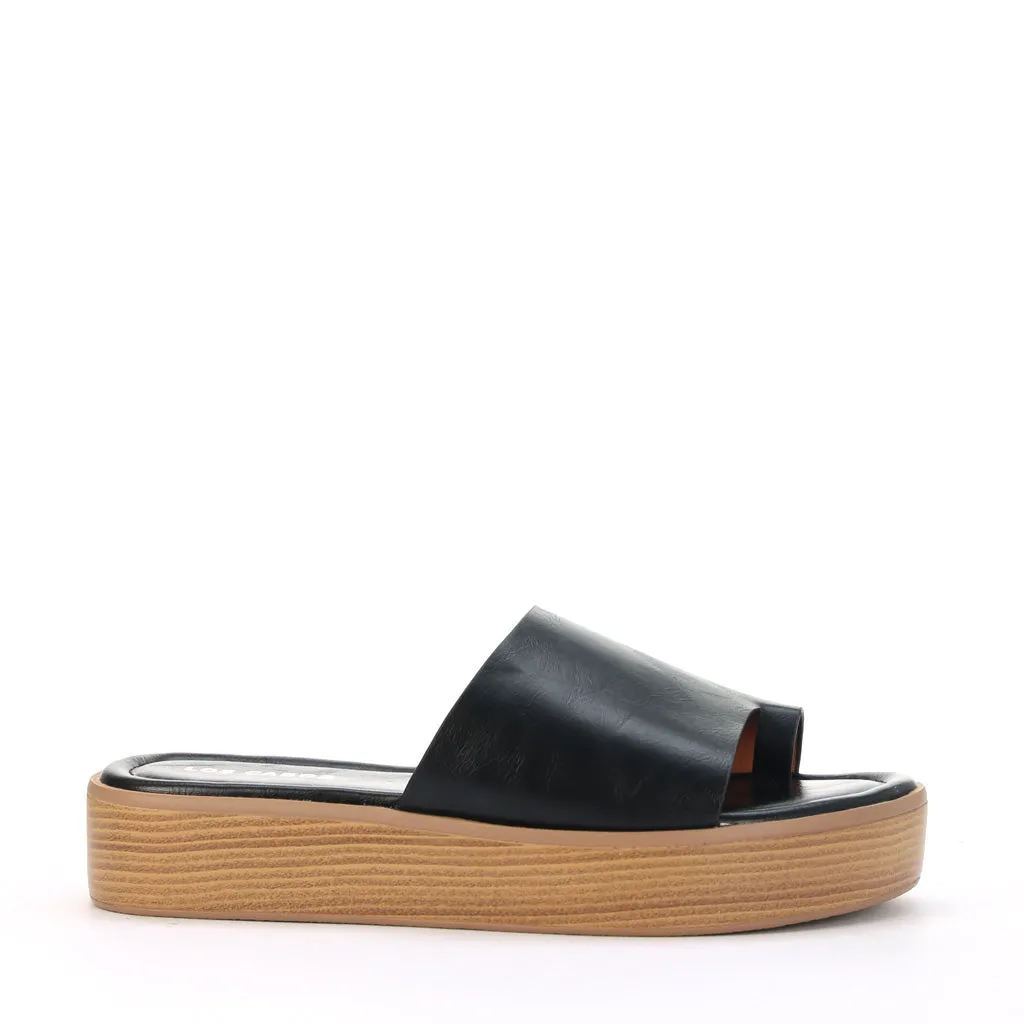 Mon Slides