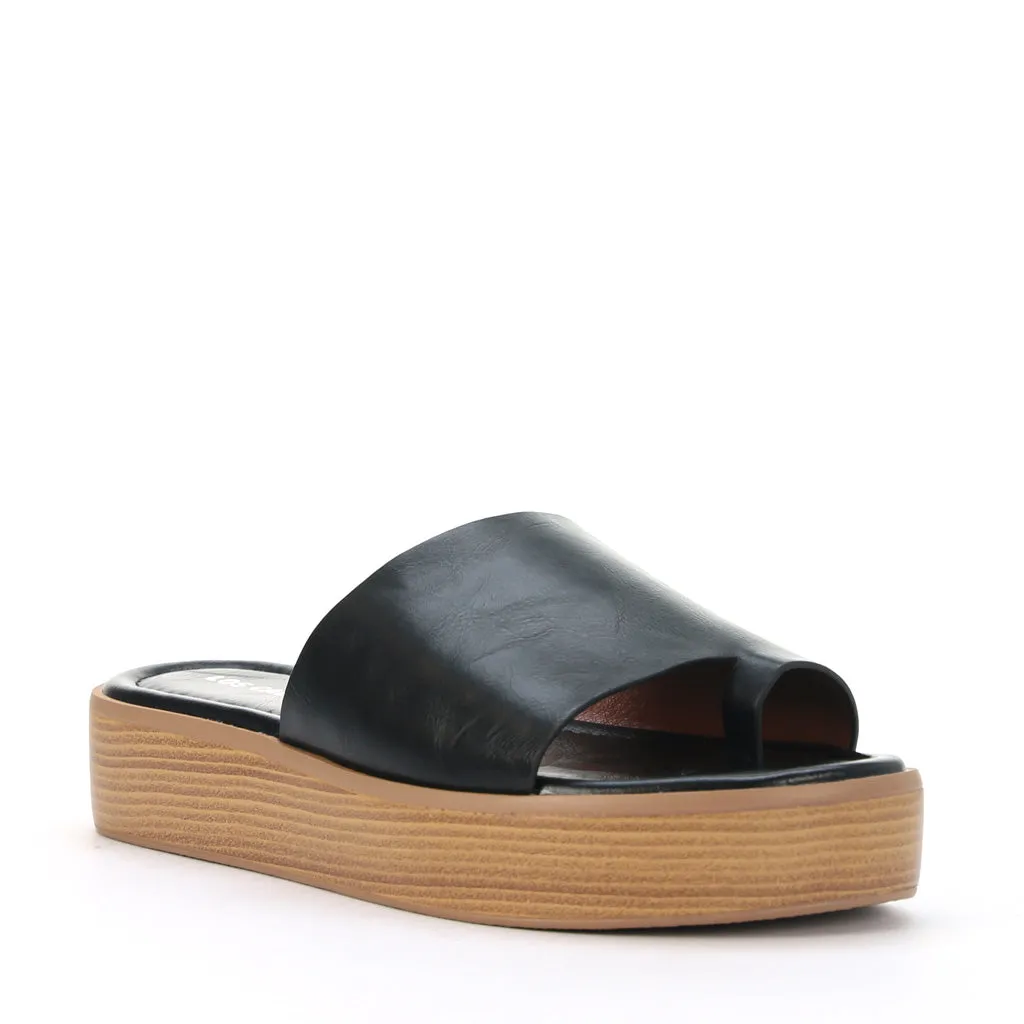 Mon Slides