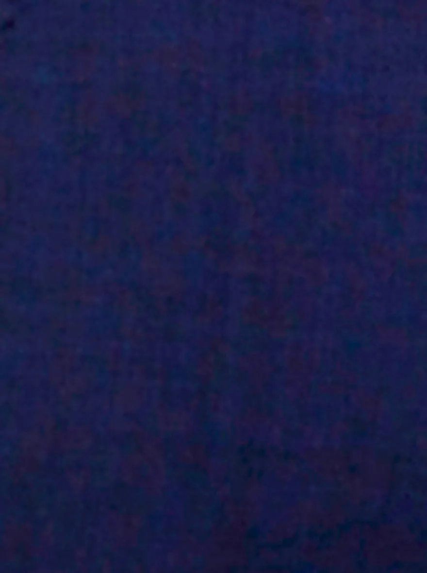 Navy Blue Self Textured Slim Fit Formal Trouser | JadeBlue